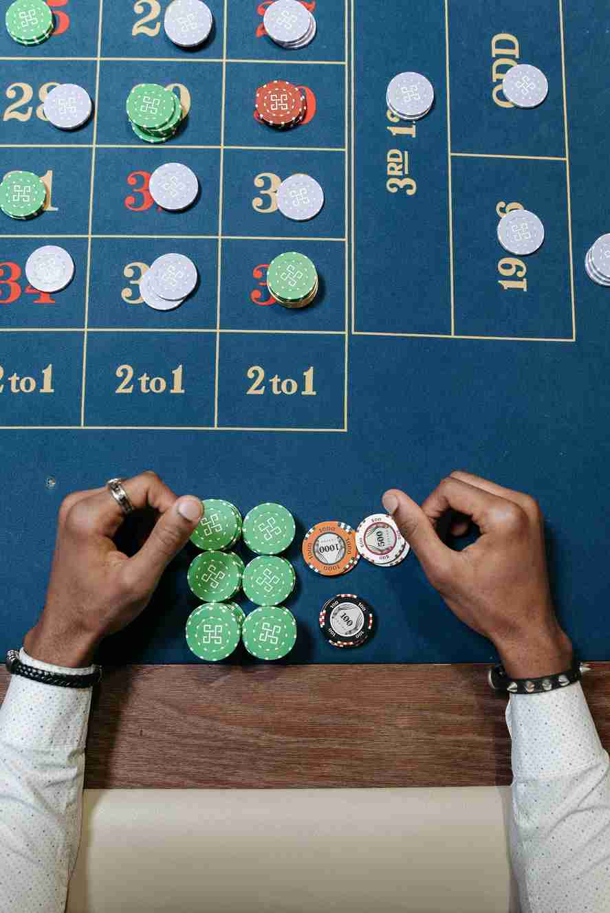 Vincispin casino 2026
